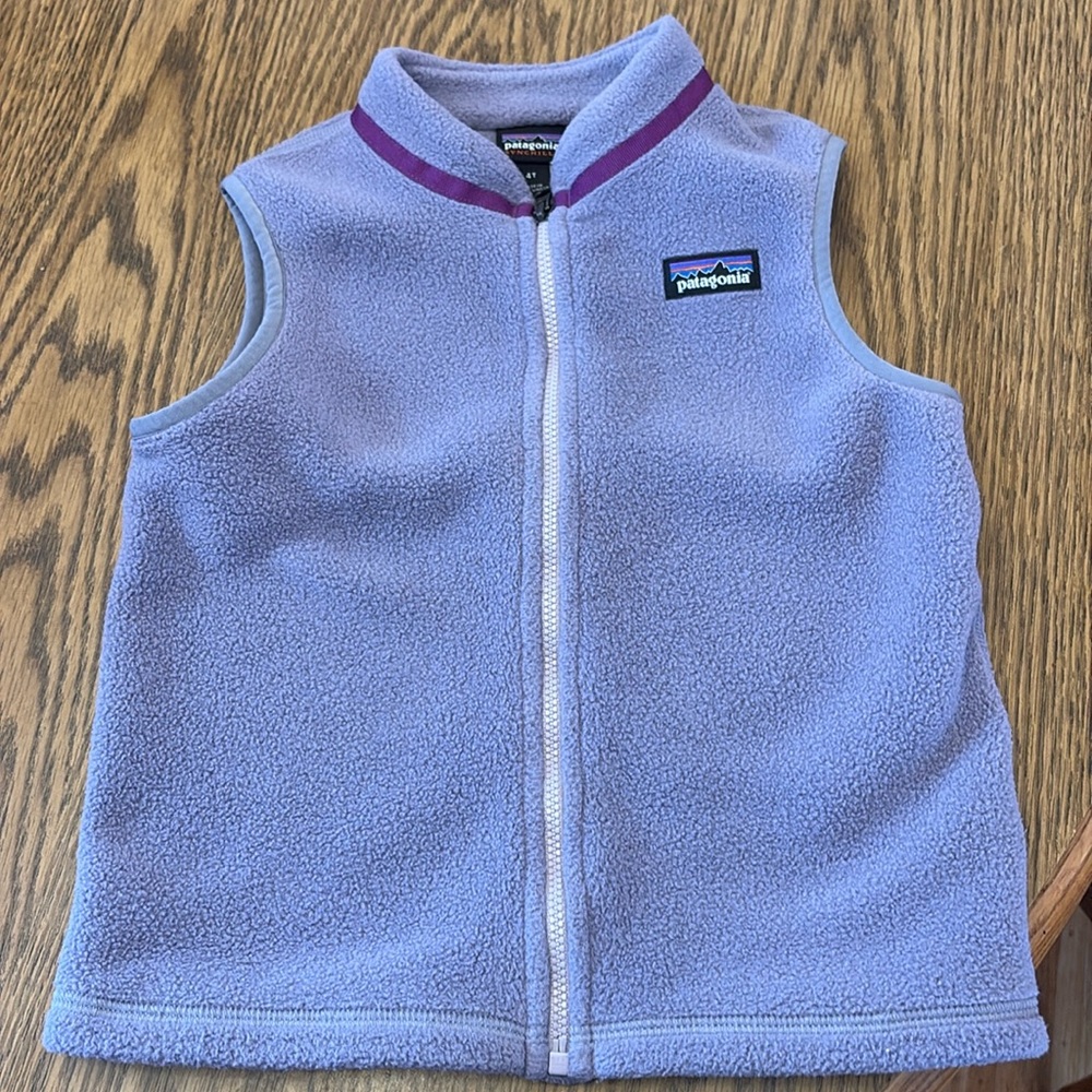 Patagonia Synchilla Vest